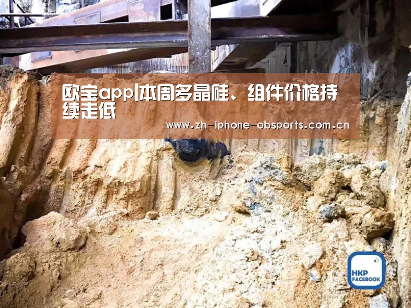 欧宝app|本周多晶硅、组件价格持续走低(图1) 欧宝体育官网