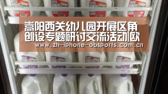 嵩阳西关幼儿园开展区角创设专题研讨交流活动|欧宝(图1) OB棋牌